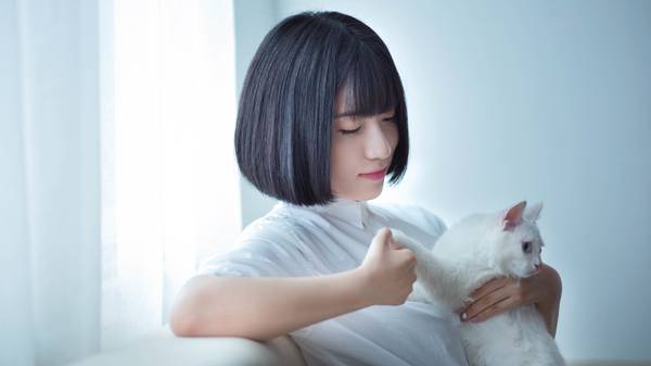 僵尸新娘电影林正英国语版_僵尸新娘国语高清在线播放_僵尸新娘国语高清下载
